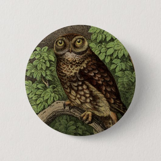 Owl in Leaves Button (Voorkant)