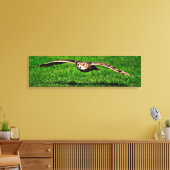Owl in liftoff Closeup Panoramic Canvas Print (Insitu (Woonkamer))