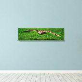 Owl in liftoff Closeup Panoramic Canvas Print (Insitu (Houten vloer))