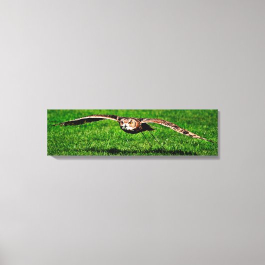 Owl in liftoff Closeup Panoramic Canvas Print (Voorkant)