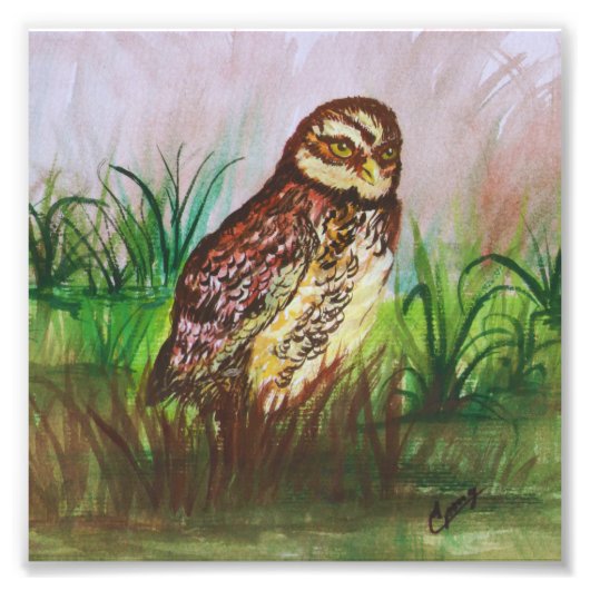 Owl in nature watercolor art foto afdruk (Voorkant)