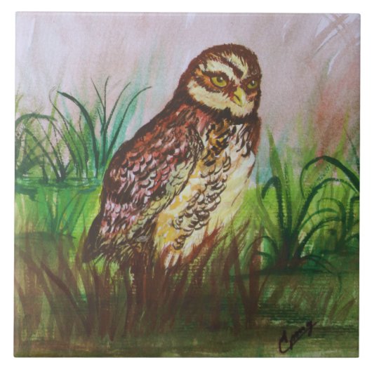 Owl in nature watercolor art tegeltje (Voorkant)