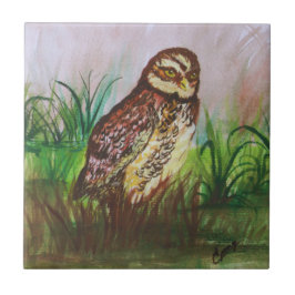 Owl in nature watercolor art tegeltje