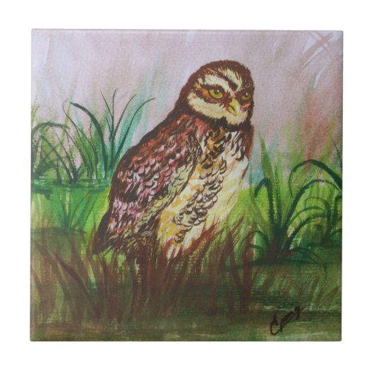 Owl in nature watercolor art tegeltje (Voorkant)