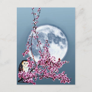 Owl in plum Tree Briefkaart