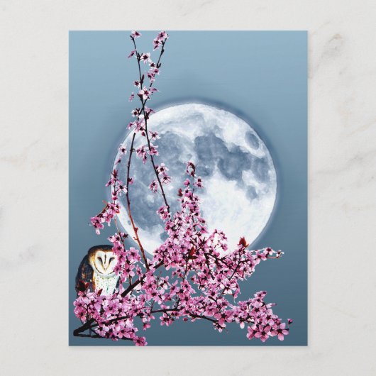 Owl in plum Tree Briefkaart (Voorkant)