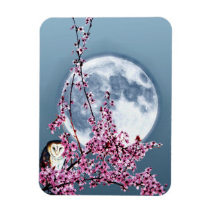 Owl in plum Tree Magneet