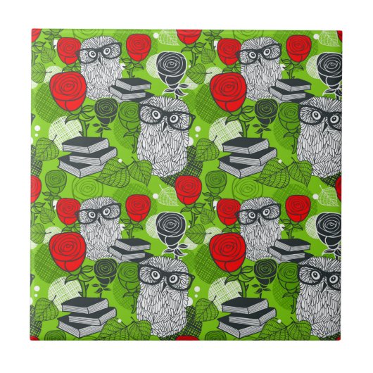 Owl in rode rozen tegeltje (Voorkant)