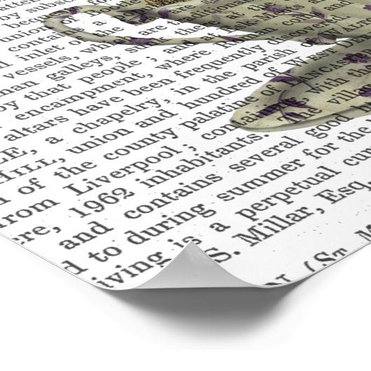 Owl in Teacup Poster (Hoek)