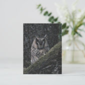 Owl in Tree Close-up DIY Briefkaart (Staand voorkant)