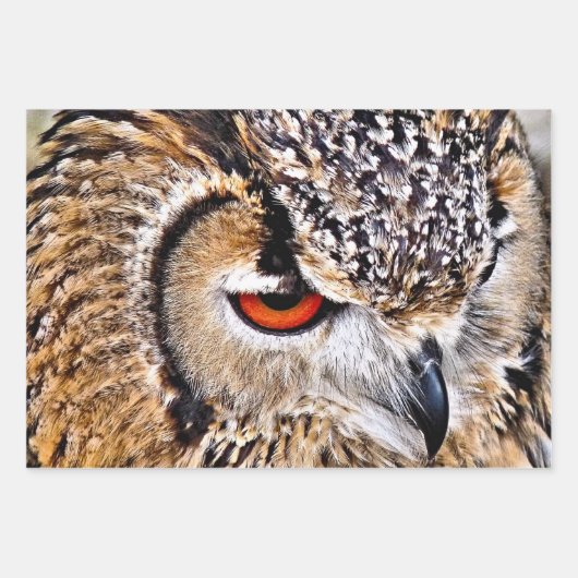 OWL INPAKPAPIER VEL (Voorkant 2)