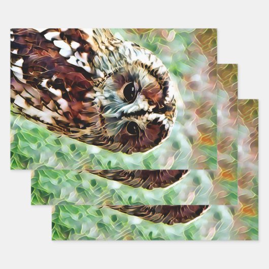 OWL INPAKPAPIER VEL (Set)