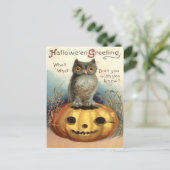Owl Jack O Lantern Pumpkin Briefkaart (Staand voorkant)
