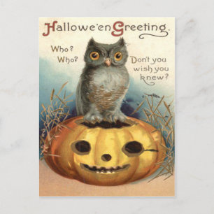 Owl Jack O Lantern Pumpkin Briefkaart