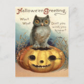 Owl Jack O Lantern Pumpkin Briefkaart (Voorkant)