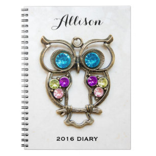 Owl Jewerly Foto Colorful Eyes and Wings Notitieboek