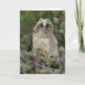 Owl Kaart (Voorkant)