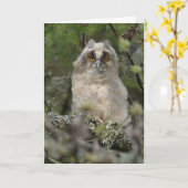 Owl Kaart (Gele Bloem)