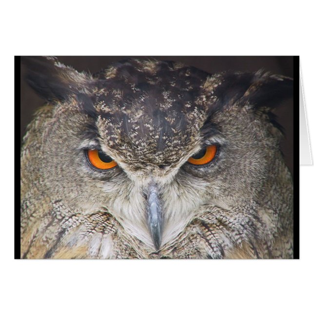 Owl-kaart (Voorkant Horizontaal)