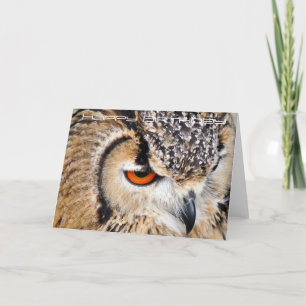 OWL KAART