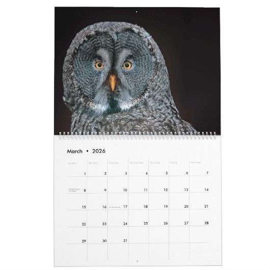 Owl Kalender (Mar 2026)