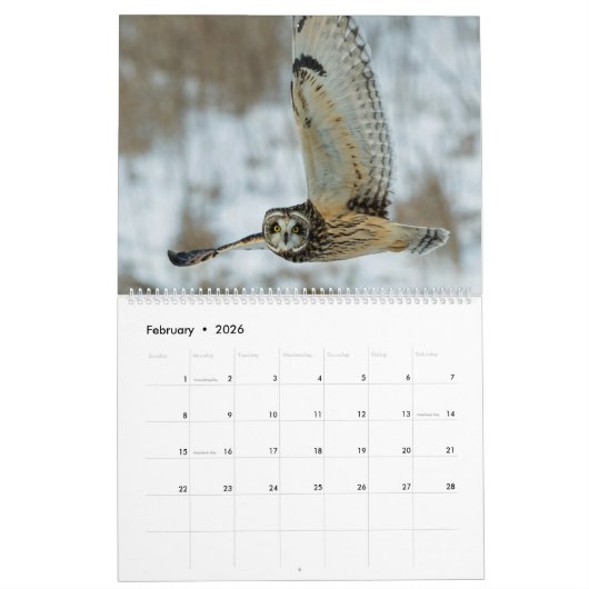 Owl Kalender (Feb 2026)