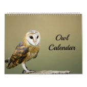 Owl Kalender (Hoes)
