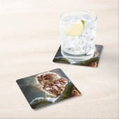 Owl Kartonnen Onderzetters (Insitu)