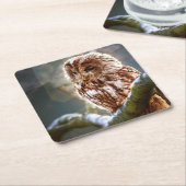 Owl Kartonnen Onderzetters (Schuin)