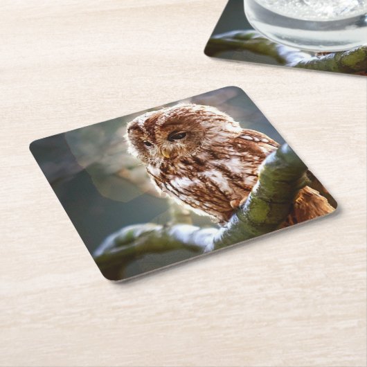 Owl Kartonnen Onderzetters (Schuin)