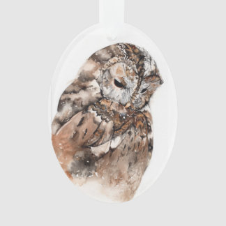 Owl keramische decoratie