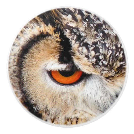 OWL KERAMISCHE KNOP (Voorkant)