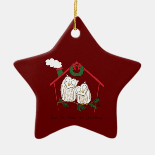 Owl Kerstmis Cute Funny Holiday Keramisch Ornament (Voorkant)