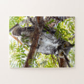 Owl kijk van Tak Legpuzzel (Horizontaal)