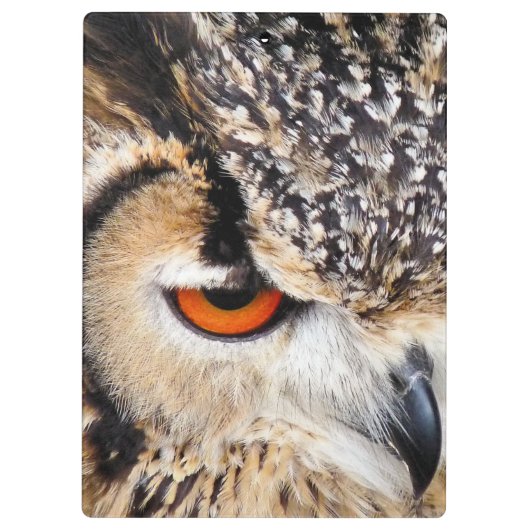 OWL KLEMBORD (Achterkant)