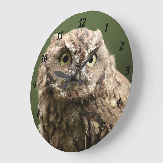 Owl klok, groot grote klok (Hoek)