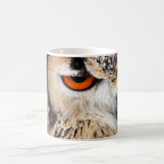 OWL KOFFIEMOK (Center)