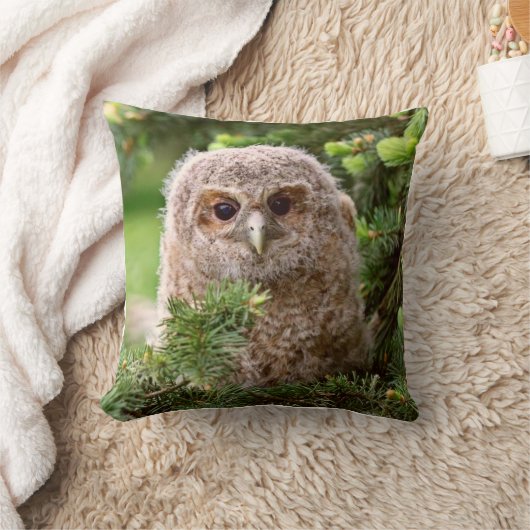 Owl Kussen (Deken)