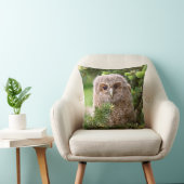 Owl Kussen (Stoel)