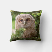 Owl Kussen (Achterkant)