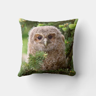 Owl Kussen