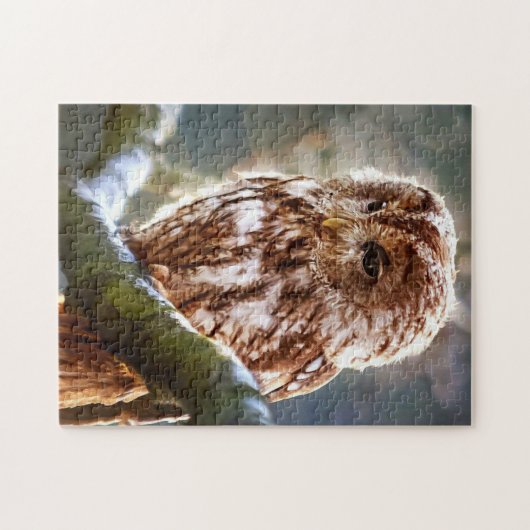Owl Legpuzzel (Horizontaal)