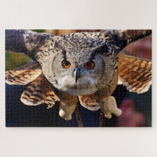 Owl Legpuzzel
