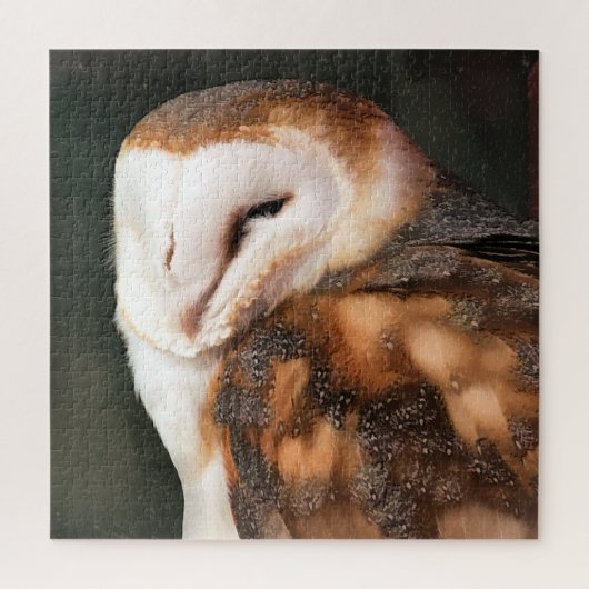 OWL LEGPUZZEL (Verticaal)