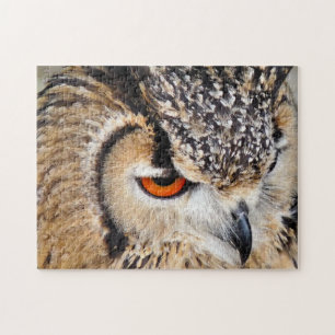 OWL LEGPUZZEL