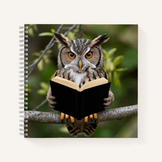 Owl lezen notitieboek (Voorkant)