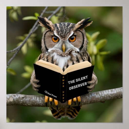 Owl lezen poster (Voorkant)