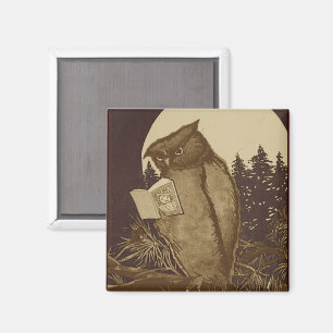 Owl Lezing door motorlicht Magneet