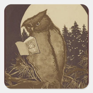 Owl Lezing door motorlicht Vierkante Sticker