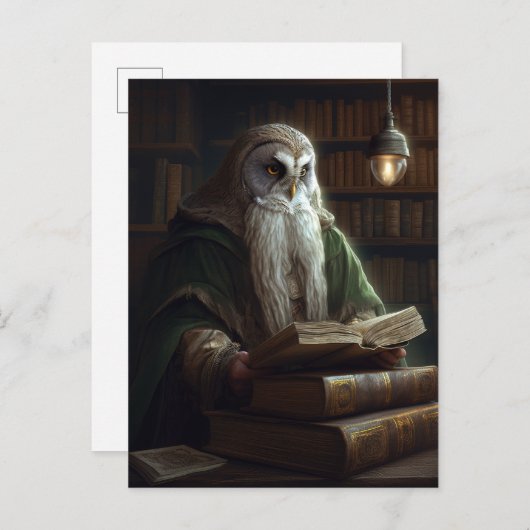 Owl Librarian Fantasy Art Briefkaart (Voorkant / Achterkant)